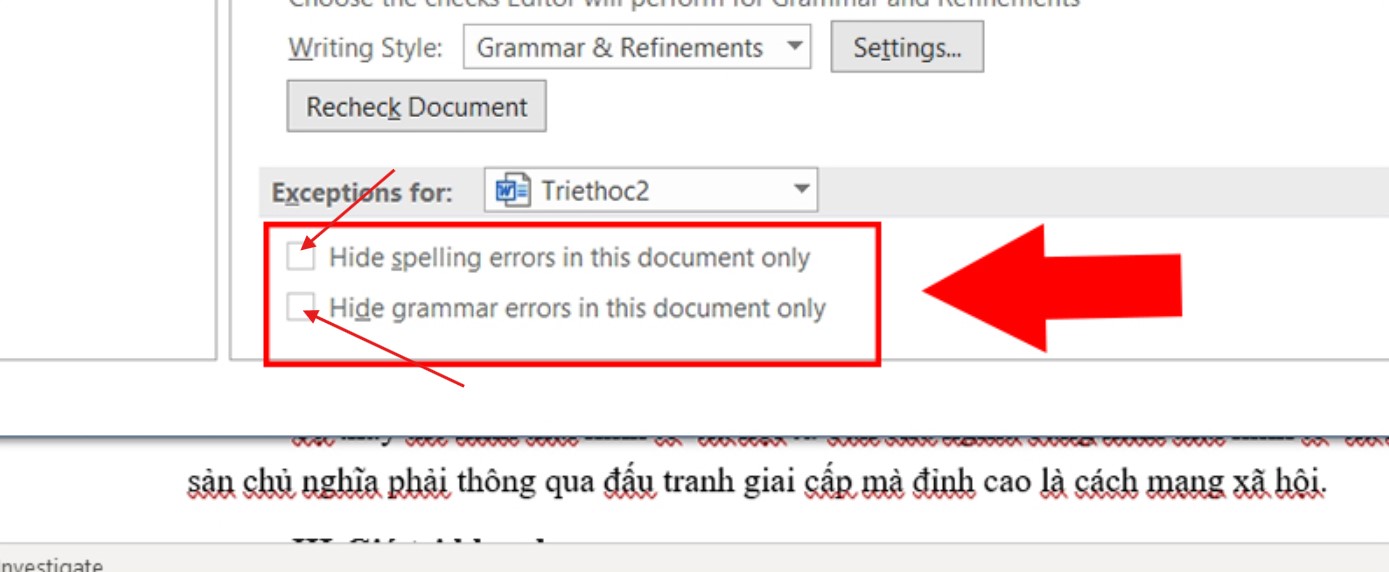 Danh-dau-vao-o-Hide-spelling-errors-in-this-document-va-Hide-grammar-errors-in-this-document